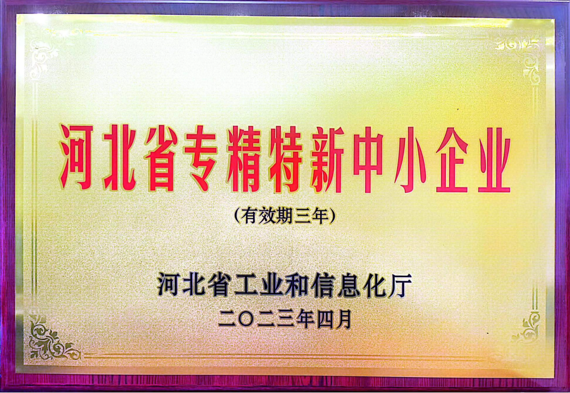 专精特新中小企业证书