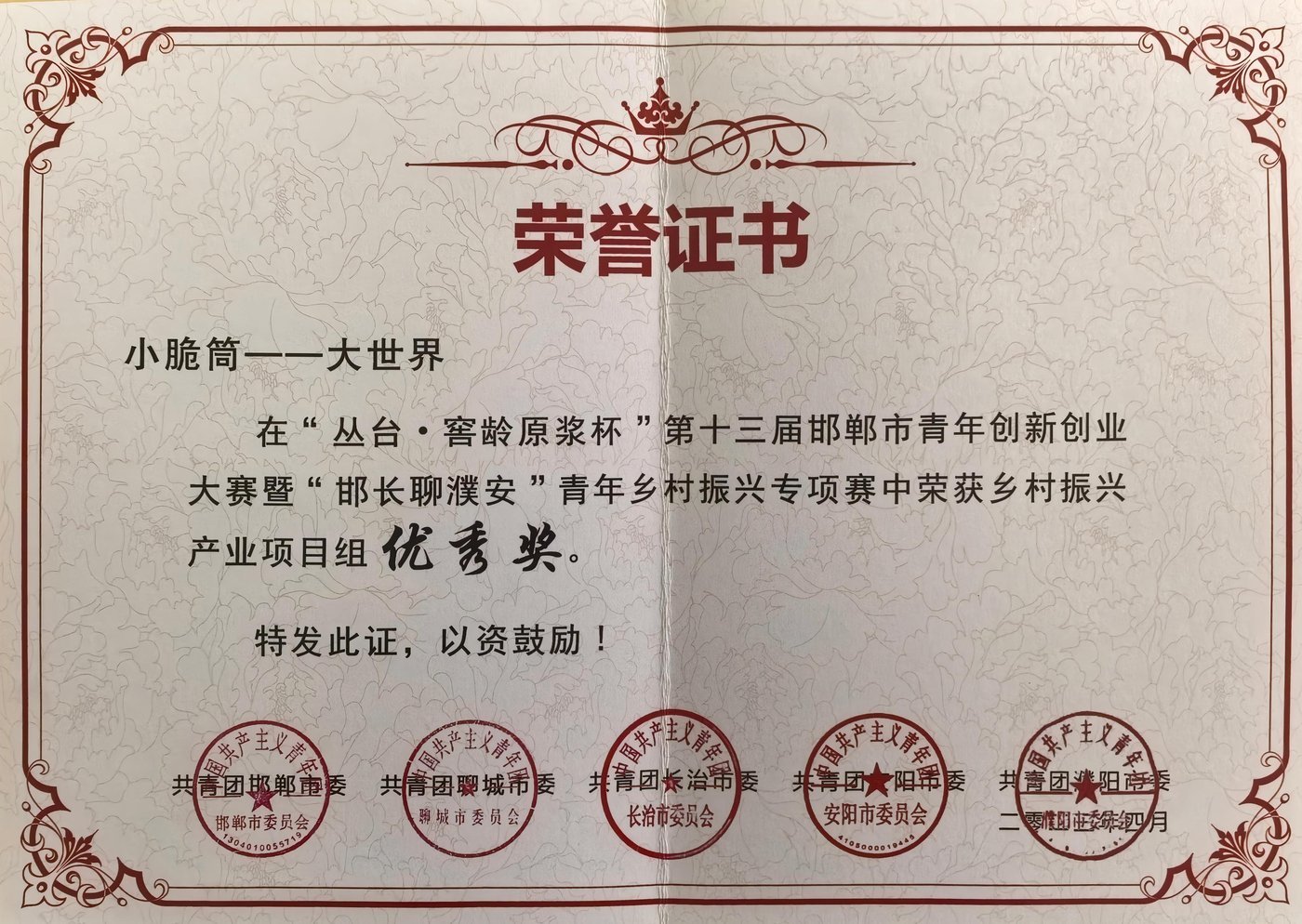 青年创新创业大赛优秀项目